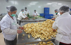 舜泰專(zhuān)業(yè)團(tuán)隊(duì)